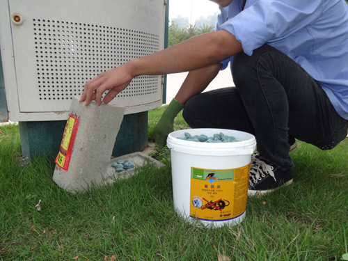 白蟻防治方法有哪些？